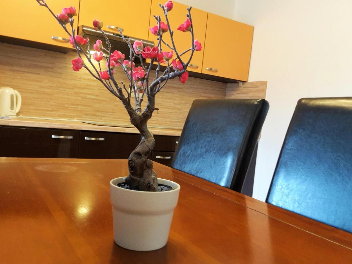 Apartman Slavkov Home & Parking Nová Lesná Eksteriør billede